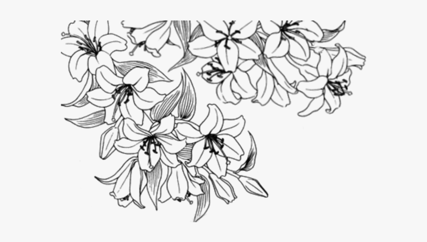 Transparent Flowers Drawing Png, Png Download, Free Download