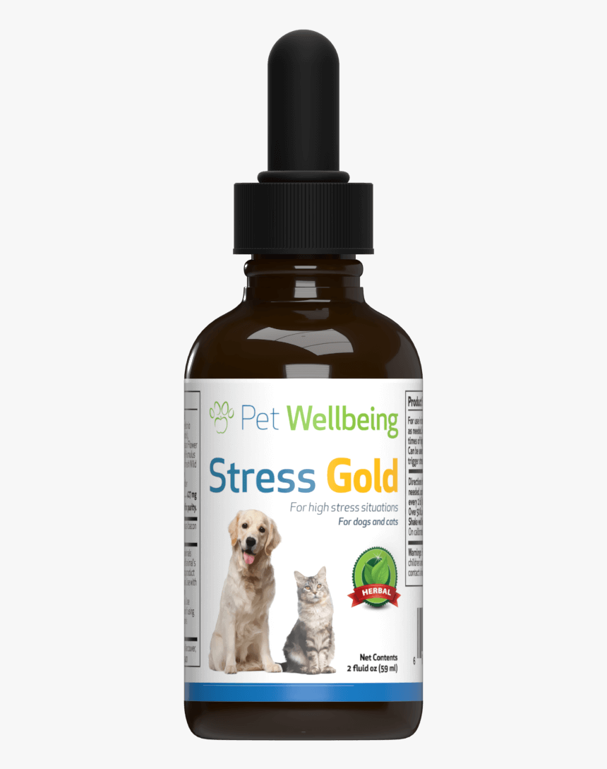 Milk Thistle For Dogs, HD Png Download, Free Download