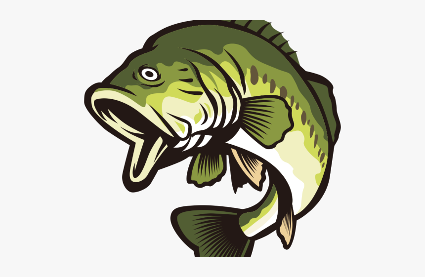 Bass Fish Clipart Png, Transparent Png, Free Download