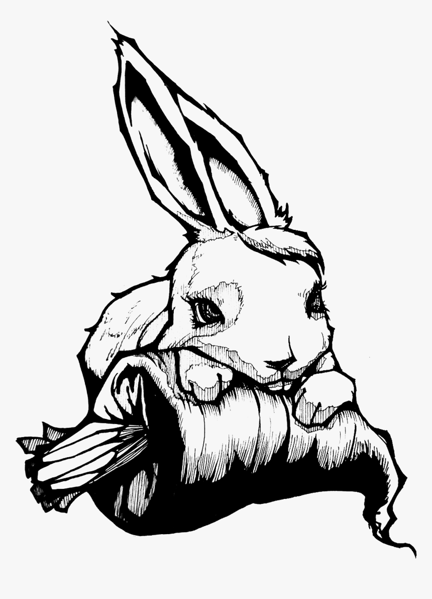 Black And White Rabbit Creativity Sketch - Sketch Creativity Creative Drawing, HD Png Download, Free Download