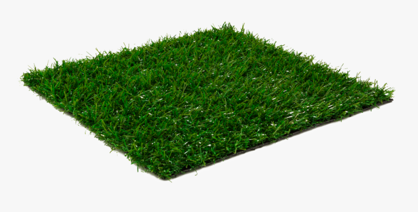 Lawn, HD Png Download, Free Download