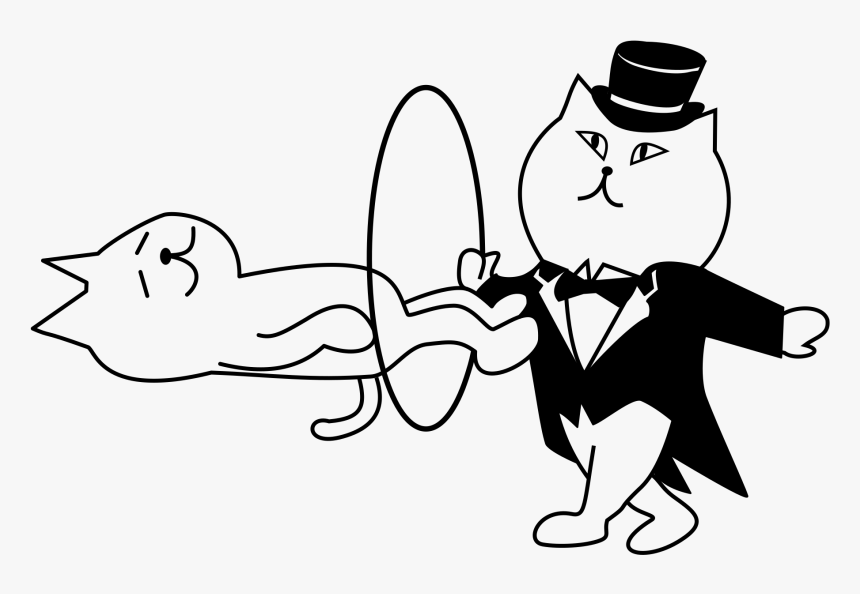 Magician Magic Tricks The Light Free Photo - Gato Mago Para Pintar, HD Png Download, Free Download