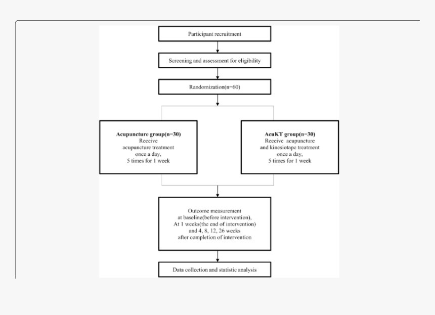 Study Design Flow Chart, HD Png Download, Free Download