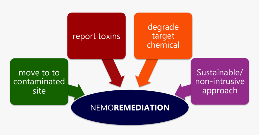 Flowchart Pollution Bioremediation Diagram Bioremediation - Different Types Of Flowchart, HD Png Download, Free Download