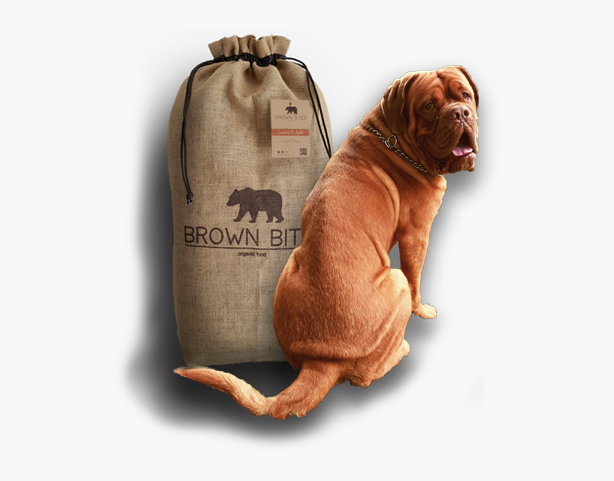 Comida Para Perros Ecológica - Dogue De Bordeaux, HD Png Download, Free Download