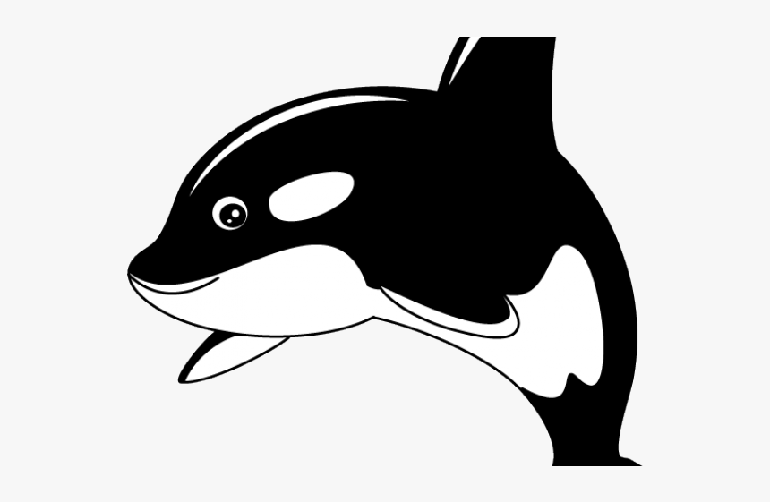 Killer Whale Pictures Transparent, HD Png Download, Free Download
