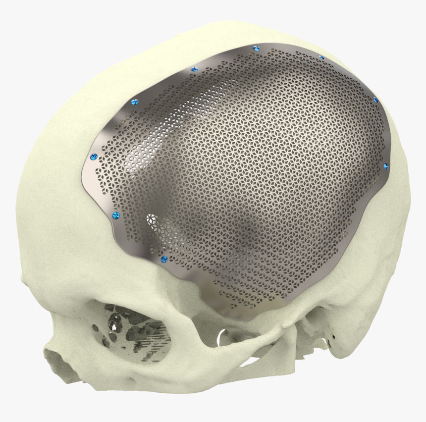 Xilloc Medical B - Skull, HD Png Download, Free Download