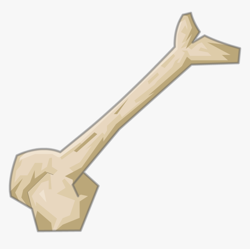 Thumb Image - Bone Real Png, Transparent Png, Free Download