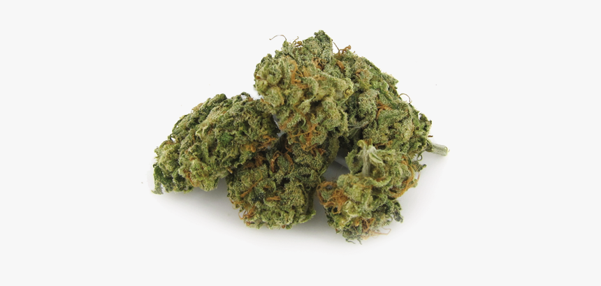 Blue-haze - 7acres Sensi Star, HD Png Download, Free Download