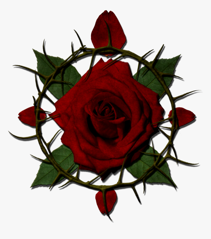Rose With Thorns Clipart , Png Download, Transparent Png, Free Download