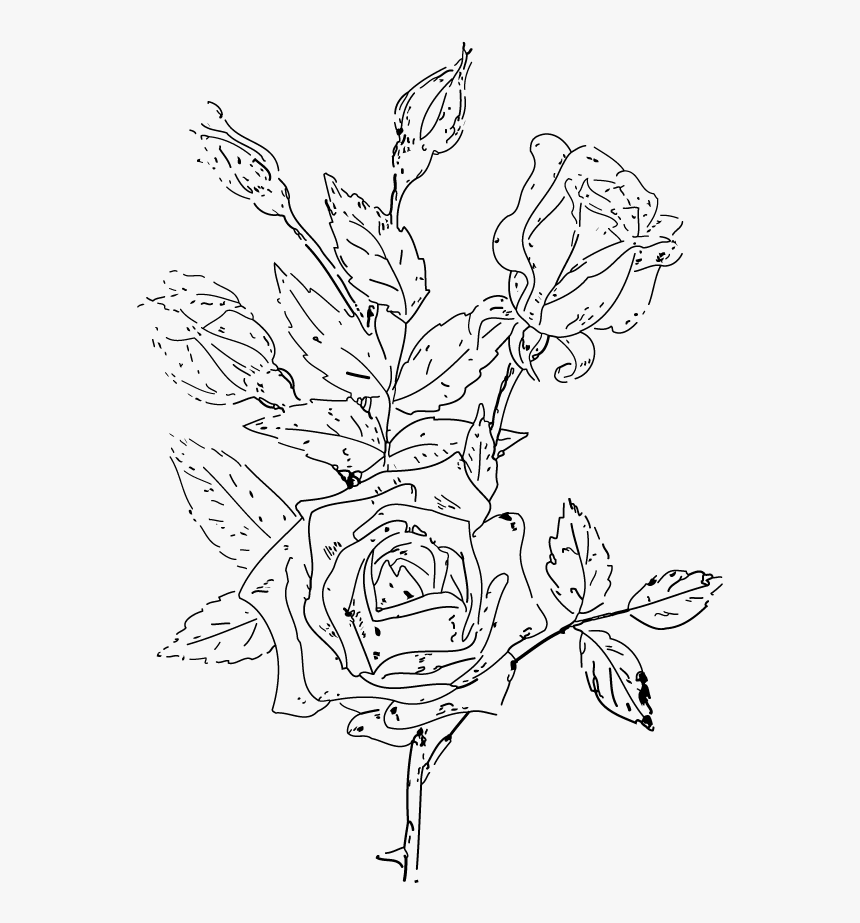 Victorian Rose Clipart Png Naatwh Clipart - Line Art, Transparent Png, Free Download