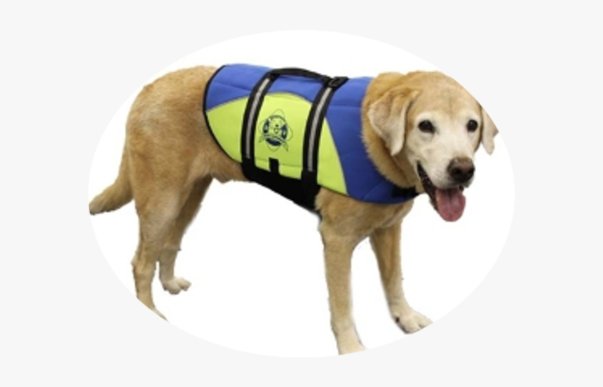 Dog, HD Png Download, Free Download