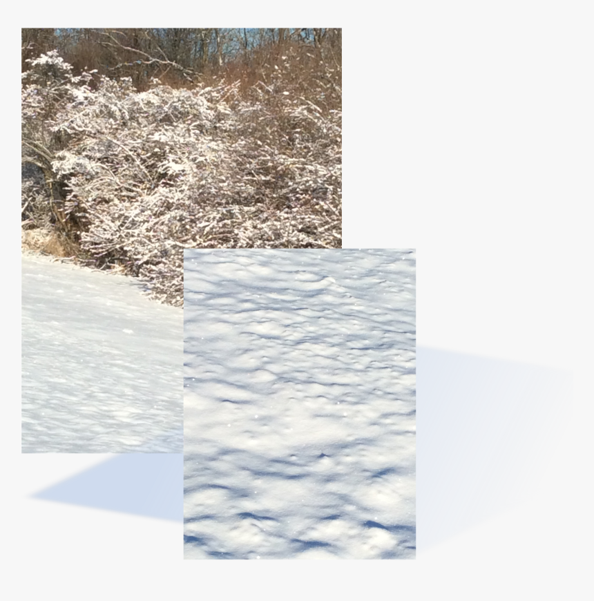 Snow Shines In Morning Sun - Snow, HD Png Download, Free Download