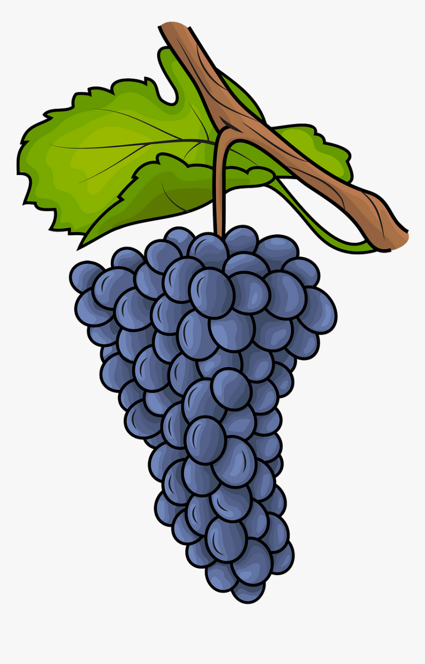 Grapes Clipart, HD Png Download, Free Download