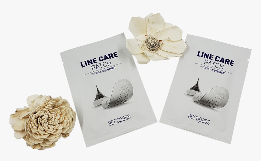 Garden Roses, HD Png Download, Free Download