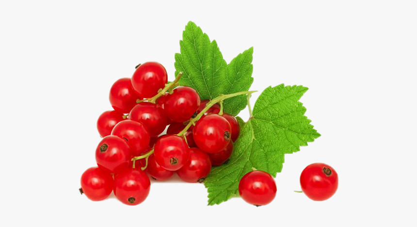 Red Currant Png High-quality Image - Currants Red, Transparent Png, Free Download