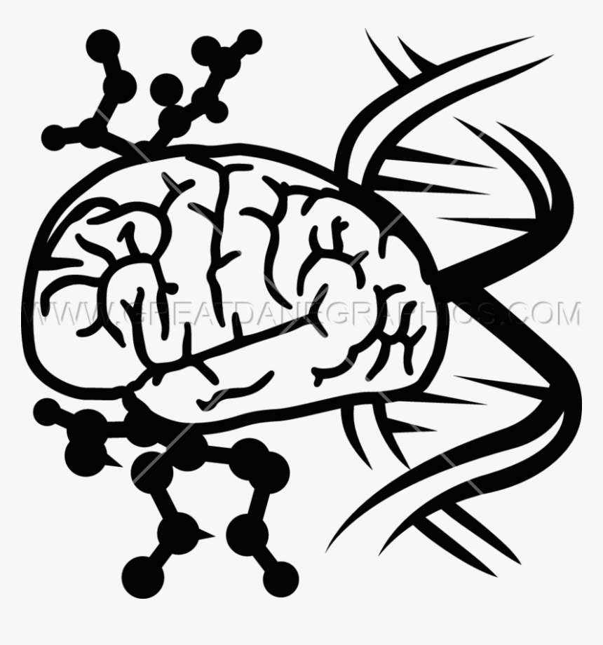 Brain Cells Clipart Dna Production Ready Artwork For - Brain And Dna Png, Transparent Png, Free Download