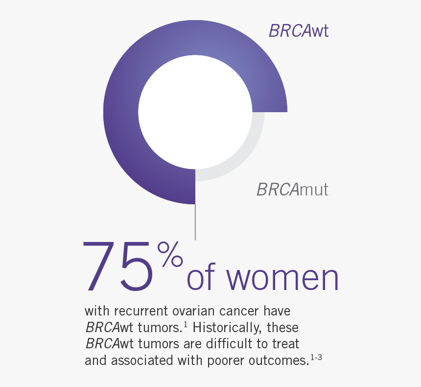 Graphic Depicting That 75% Of Women With Recurrent - Brca Ovarian Cancer, HD Png Download, Free Download