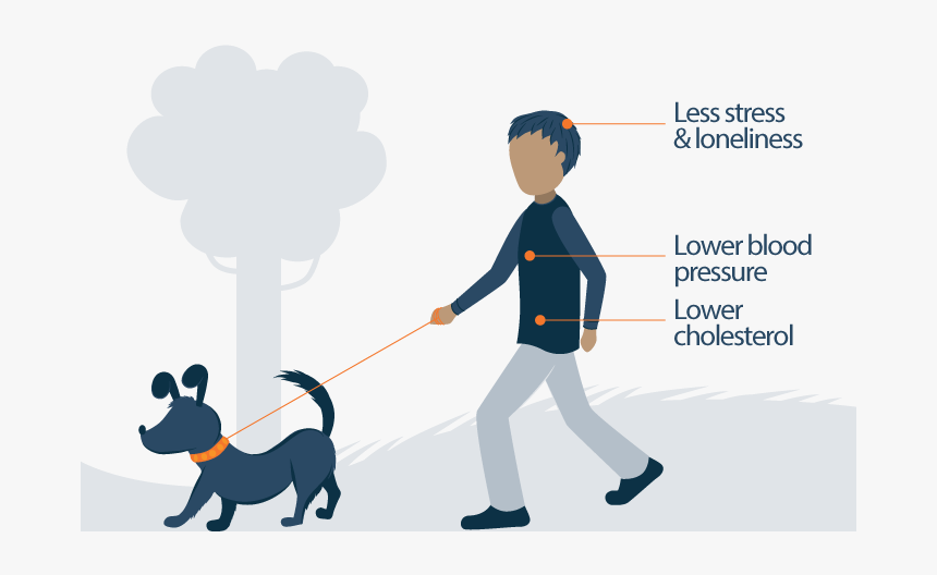 Health Benefits Of Owning A Pet - Dog Catches Something, HD Png Download, Free Download