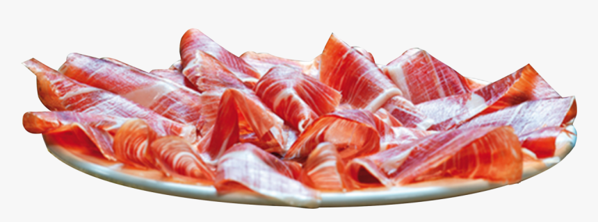 Cecina, HD Png Download, Free Download