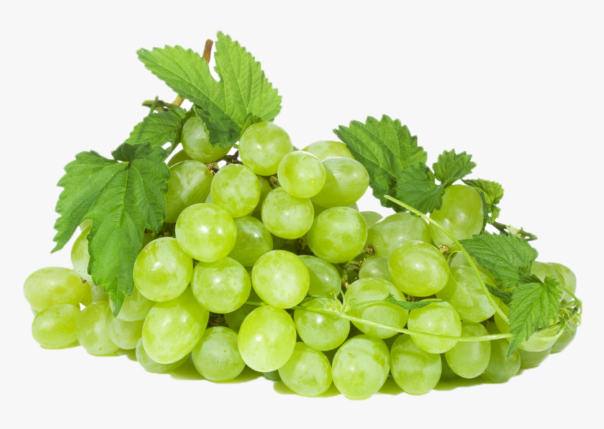 Grape, HD Png Download, Free Download