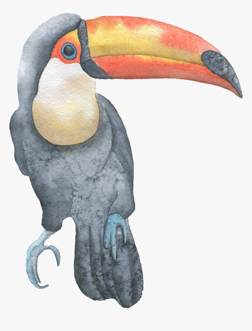Whale Head Stork Bird Hand Painted Watercolor Transparent - Watercolor Painting, HD Png Download, Free Download