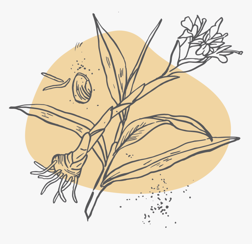 Illustration, HD Png Download, Free Download