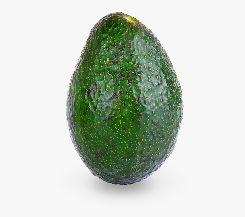 Avocado, HD Png Download, Free Download