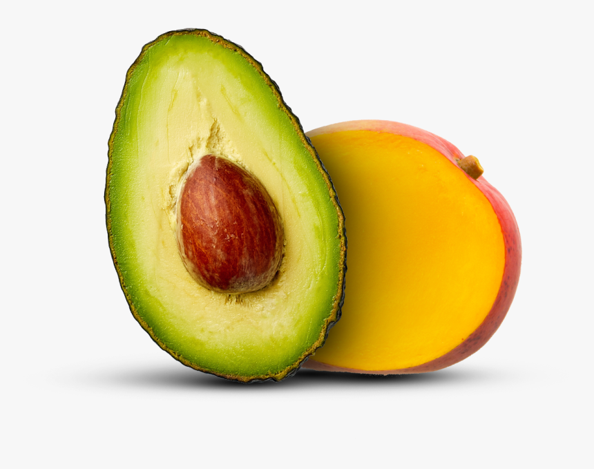 Avocado, HD Png Download, Free Download