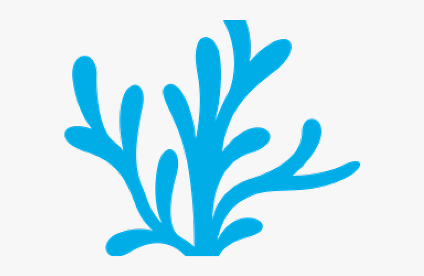 Colorful Seaweed Clipart Png, Transparent Png, Free Download