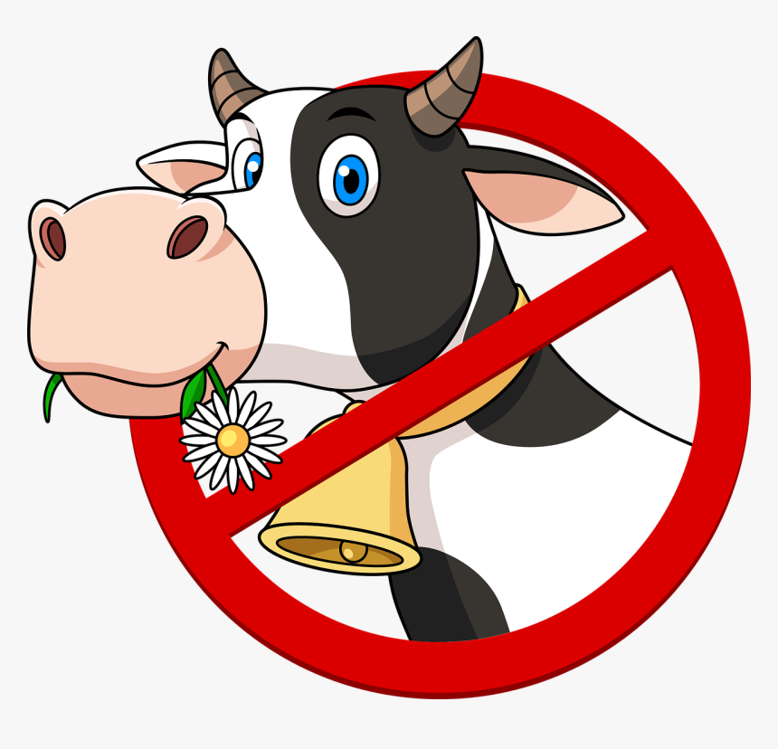 Vegetarianism, HD Png Download, Free Download