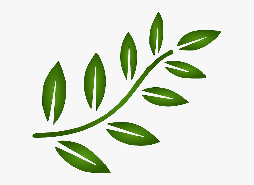 Transparent Circle Of Leaves Clipart - Green Leaves Clipart Png, Png Download, Free Download