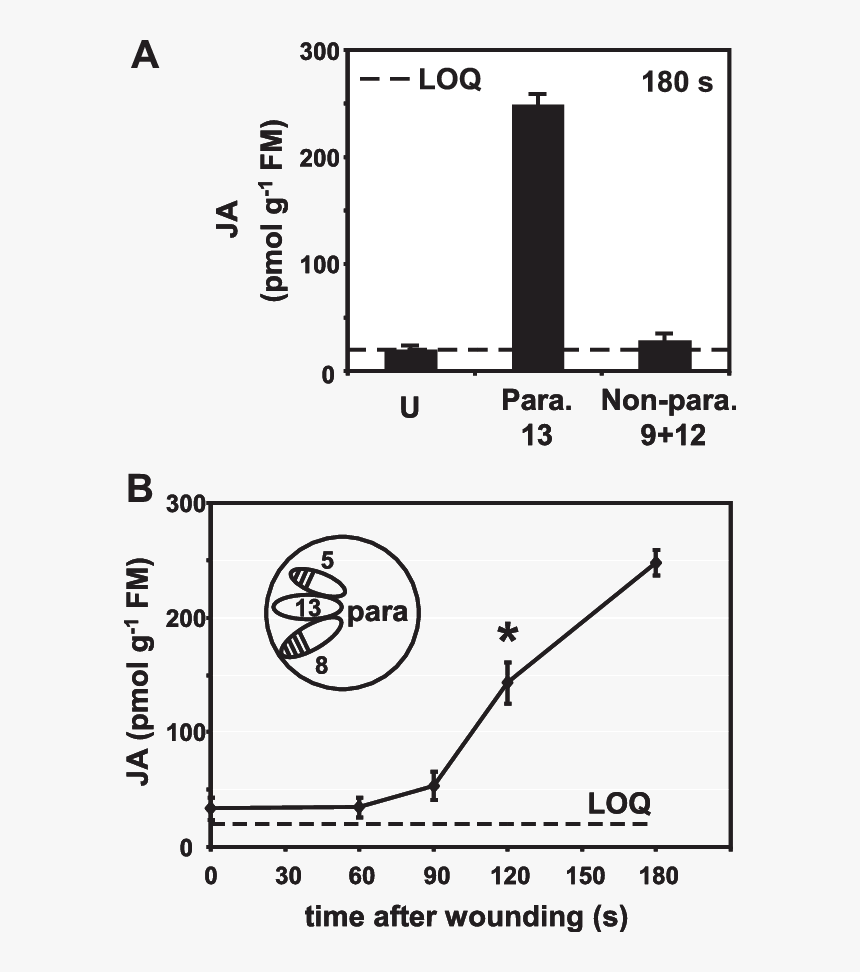 Diagram, HD Png Download, Free Download