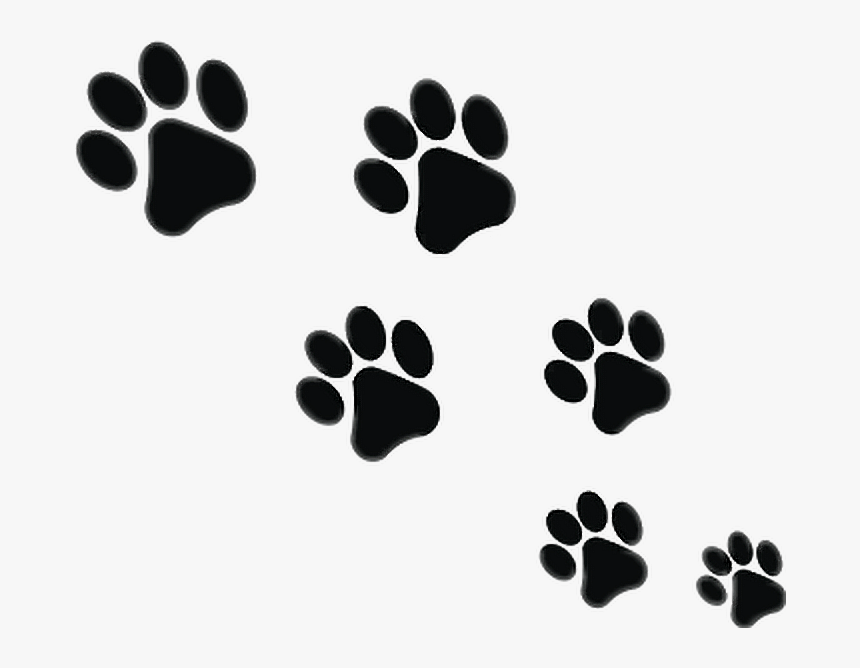 #huellas #cat #dog #pig #tumblr #hipster - Cat Foot Print Png, Transparent Png, Free Download