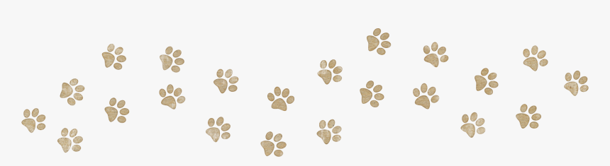 Resultado De Imagen Para Huellas De Gato Png - Fondos De Huellitas De Perro, Transparent Png, Free Download