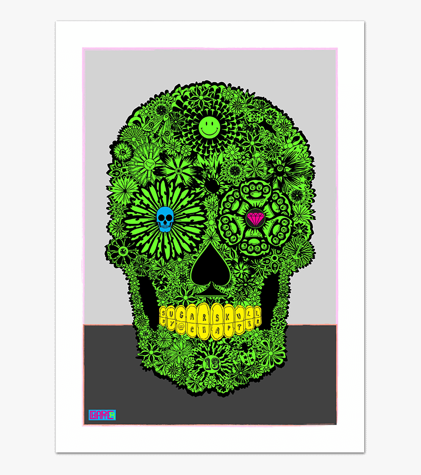 Skull, HD Png Download, Free Download