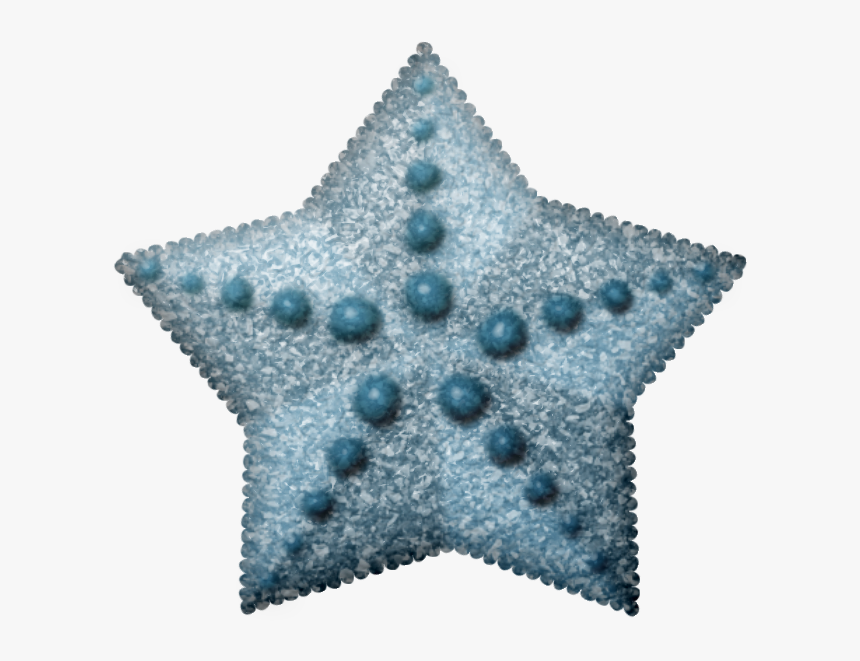 Starfish, HD Png Download, Free Download