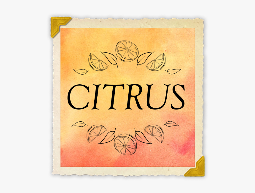 Poster, HD Png Download, Free Download