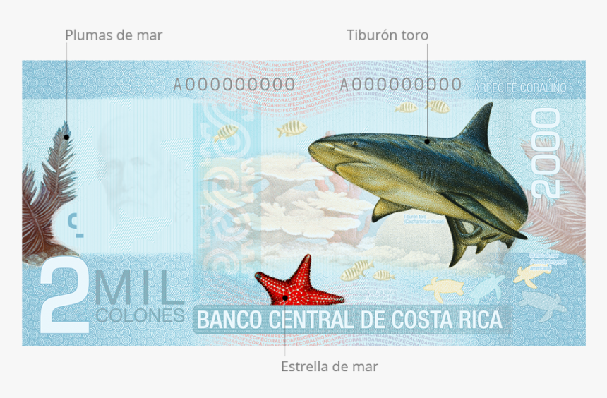 Billetes De 2000 Colones, HD Png Download, Free Download