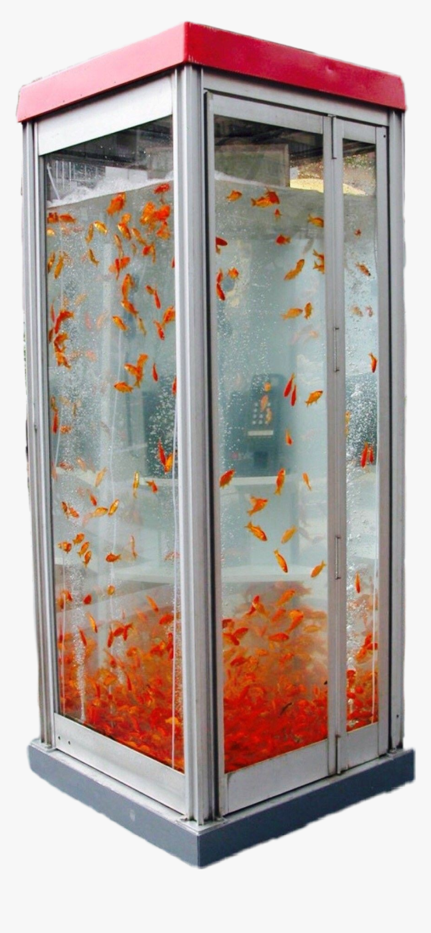 Fish Phone Booth - Phone Booth Installation Art, HD Png Download, Free Download