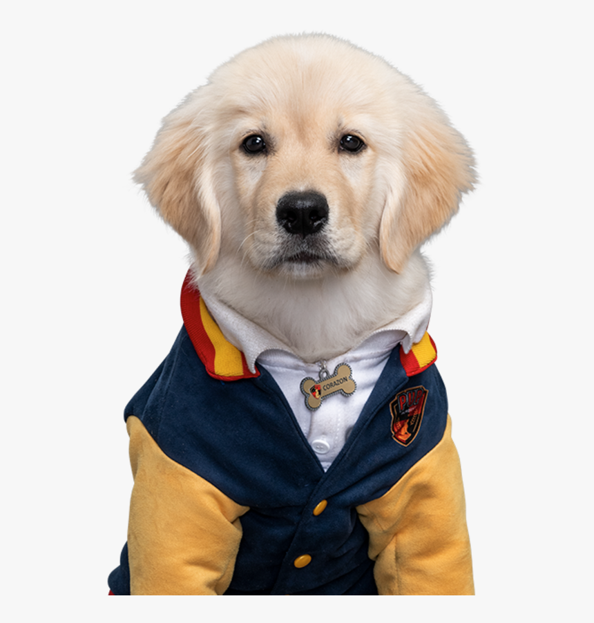 Pup Academy Disney Channel, HD Png Download, Free Download