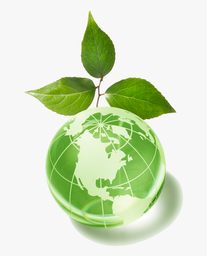 Экология. Экология планеты. Экология земли. Экология на прозрачном фоне. Globe plants