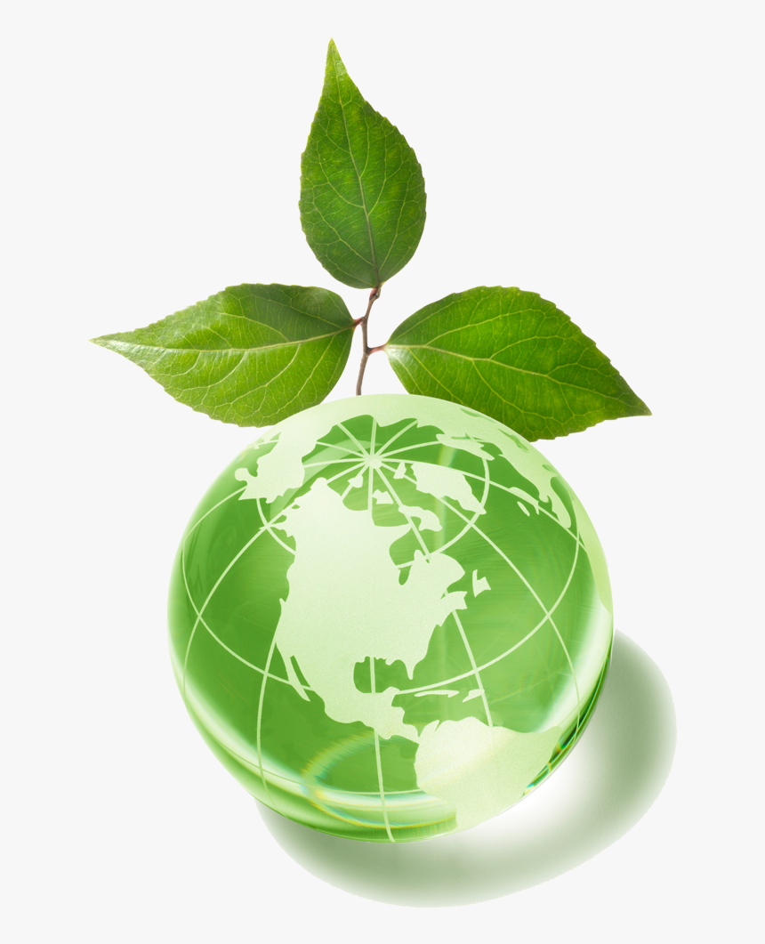 Green Environment - Green Globe Plant Png, Transparent Png, Free Download