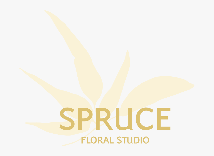 Spruce Floral Studio Logo - Illustration, HD Png Download, Free Download