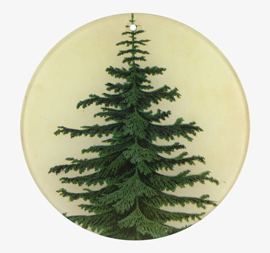 Christmas Tree, HD Png Download, Free Download