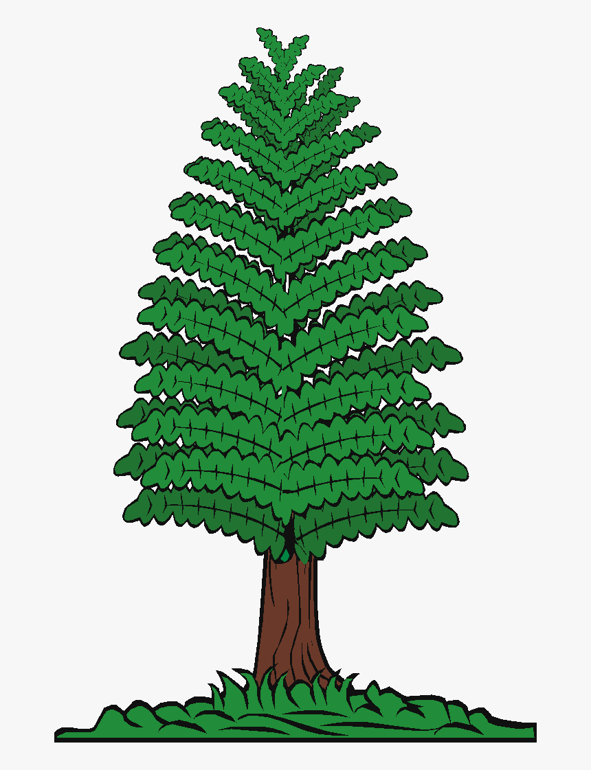 Pine Trees Of Angus On - Trees Timber Cartoon, HD Png Download, Free Download