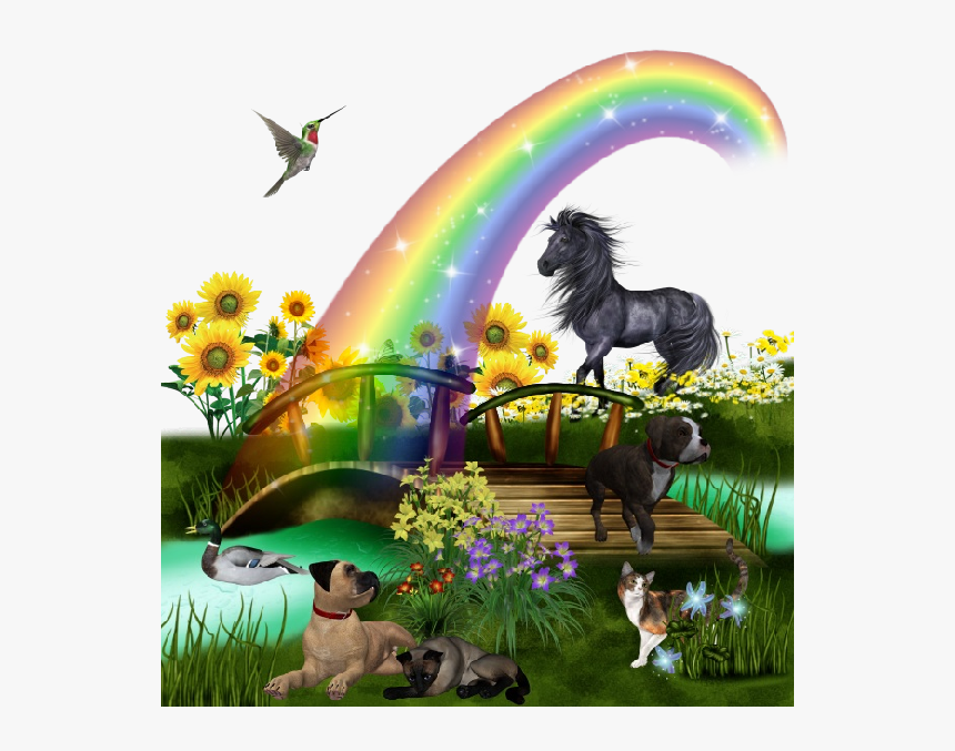 Funny Cartoon Horse - Horse Bookmarks To Print, HD Png Download, Free Download