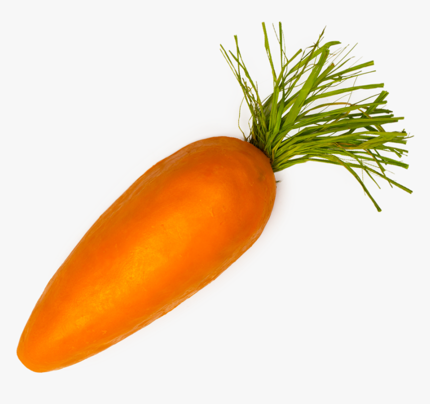 Single Carrot Png - Single Carrot Transparent Background, Png Download, Free Download