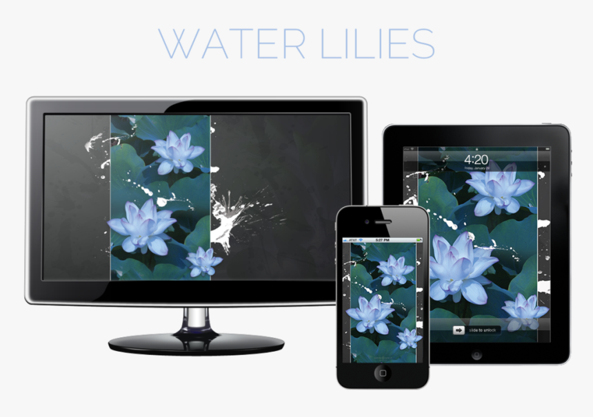 Water Lilies Hero - Samsung P2270, HD Png Download, Free Download