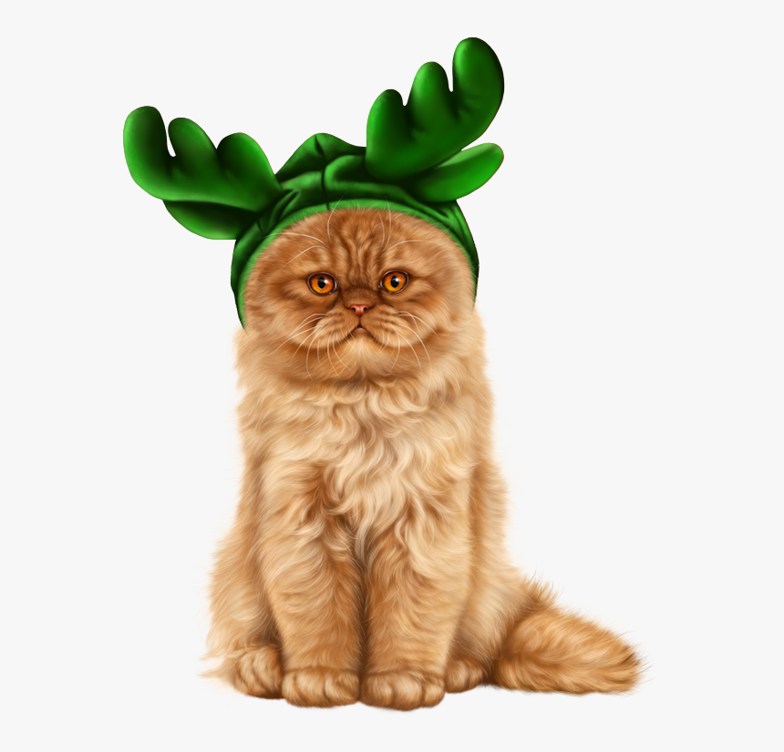 Transparent Christmas Cats, HD Png Download, Free Download